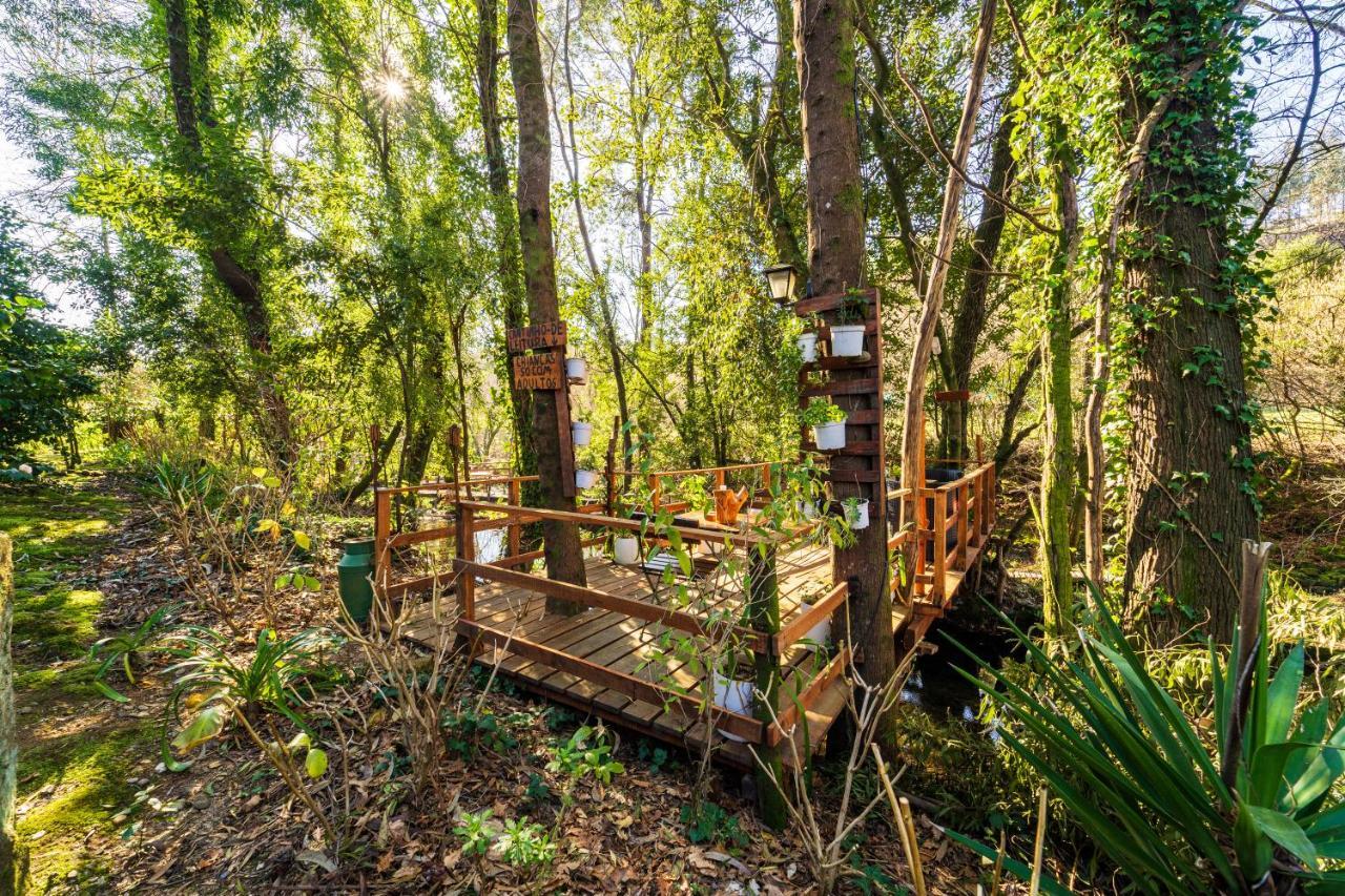 Riba Rio - Unique Nature Spot Ponte de Lima Exterior photo