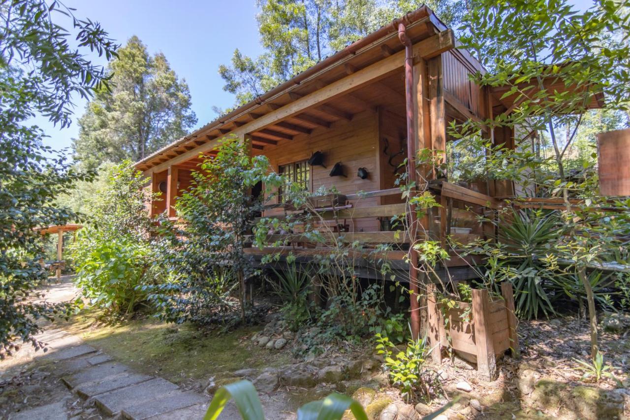 Riba Rio - Unique Nature Spot Ponte de Lima Exterior photo