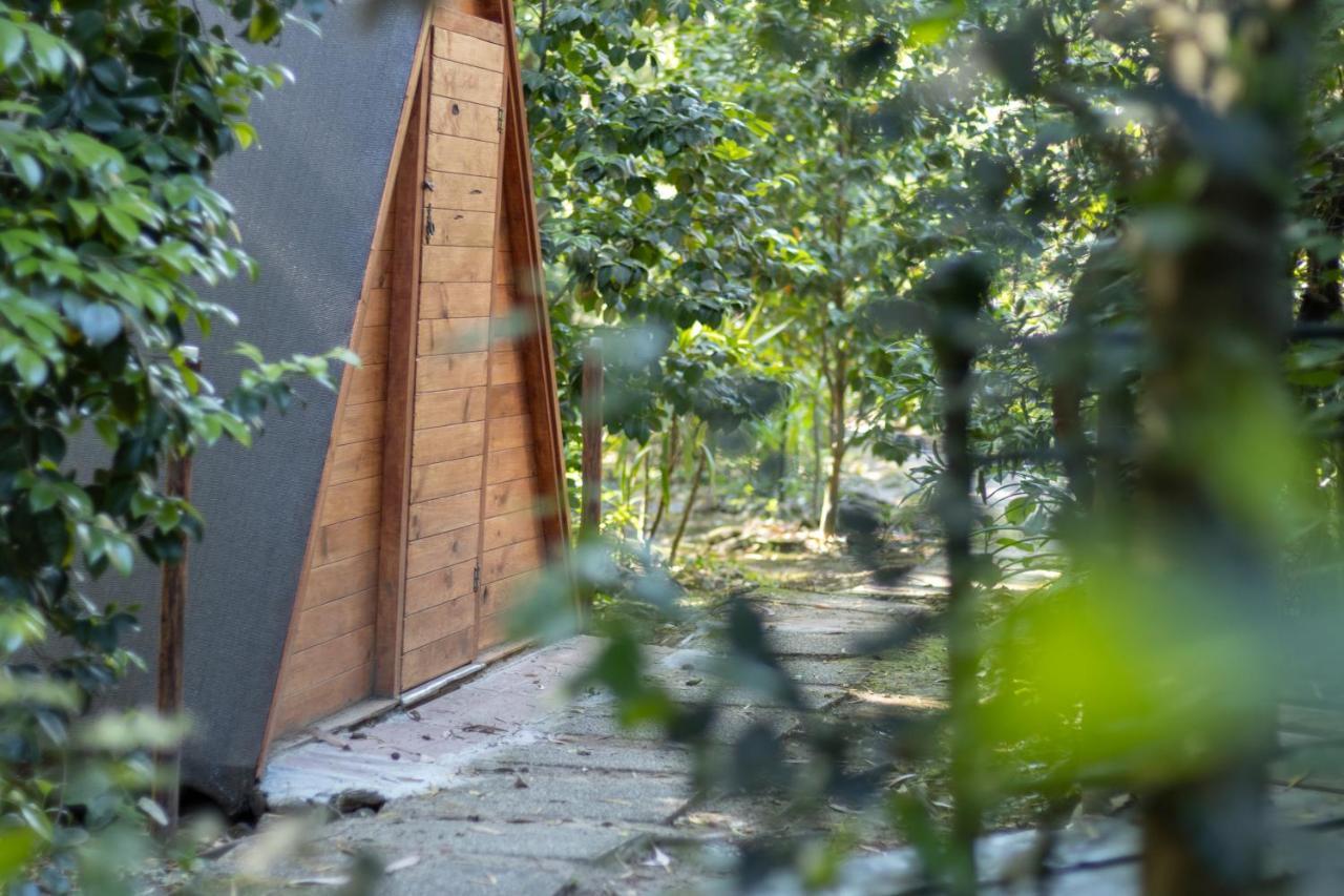 Riba Rio - Unique Nature Spot Ponte de Lima Exterior photo